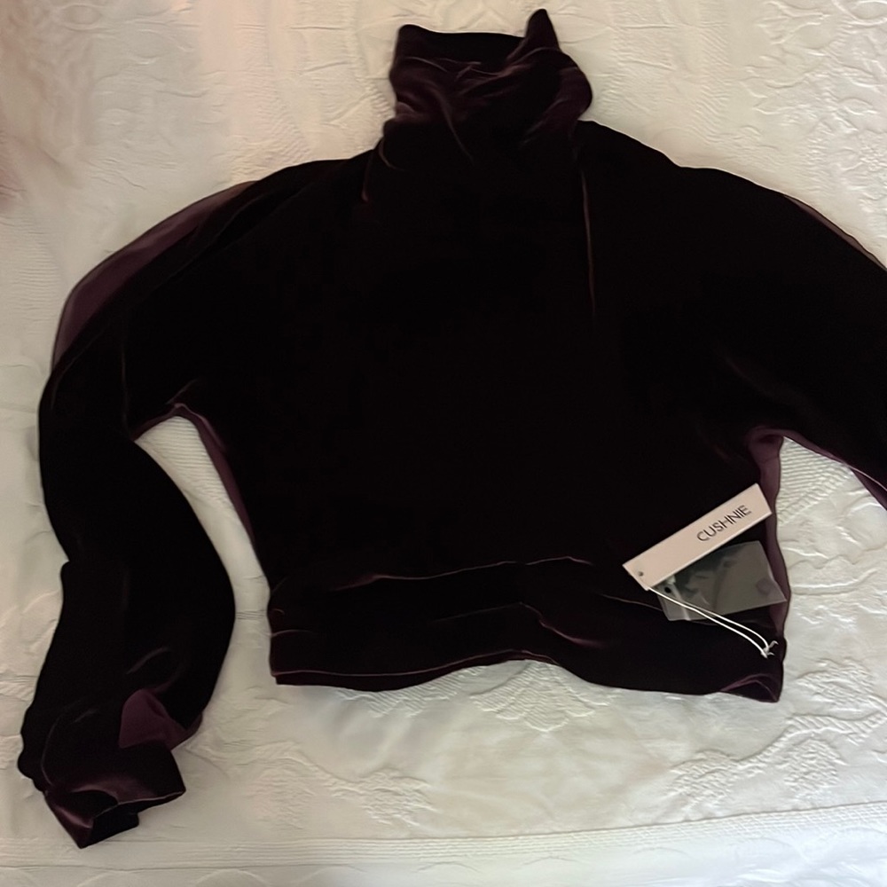 Velvet Cushnie Blouse